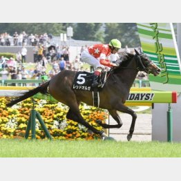 同条件の前走を快勝