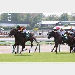 昨年は3歳牝馬ジューヌエコールが快勝