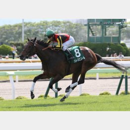 昨年は3歳牝馬ジューヌエコールが勝利
