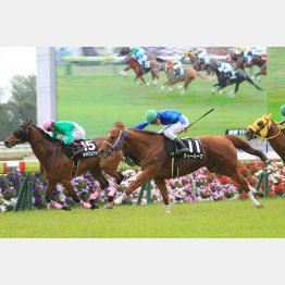 オープン昇級の鞍馬Sで②着(左)