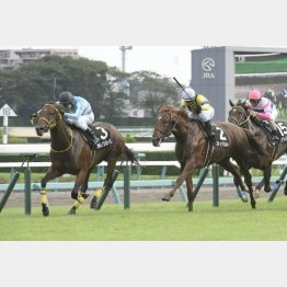 外房特別はベストパフォーマンス