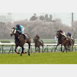 隅田川特別を圧勝