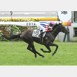 レートじゃ右肩上がり