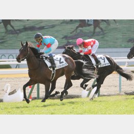 五百万勝ちも楽勝だった