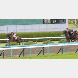 五百万勝ちは圧勝だった