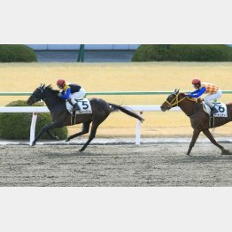 五百万勝ちは好内容
