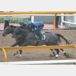 1週前はCウッドで軽快