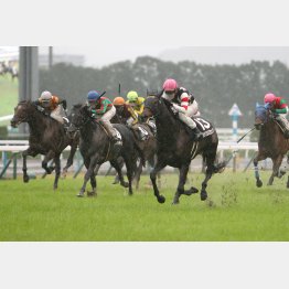 昨秋のカシオペアSを快勝