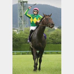 昨年はサトノクラウンが勝利