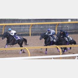 相手を圧倒したヴィブロス(左)
