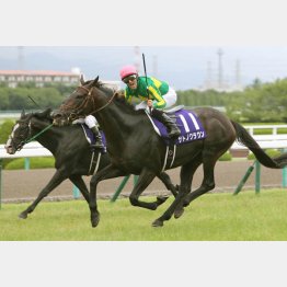 昨年は外から差し切り