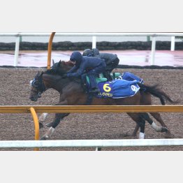 内には首差