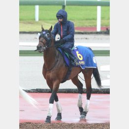 追い切りの感触も上々