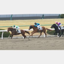 ダート替わり初戦が②着に2馬身差