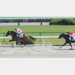 3走前に現級勝ち