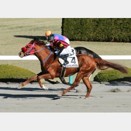 初勝利がこの舞台