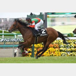 安房特別で現級勝ち