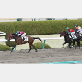 現級勝ちは2馬身差の完勝だった