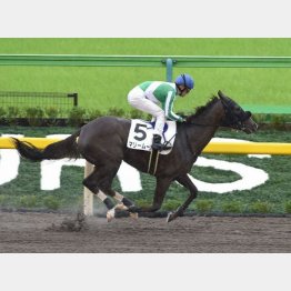 未勝利は6馬身差
