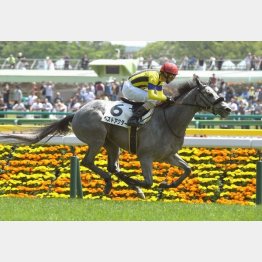 同舞台で未勝利勝ち
