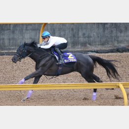 ヴィブロスは福永で1週前追い切り