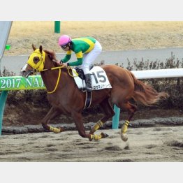 未勝利は3馬身差V