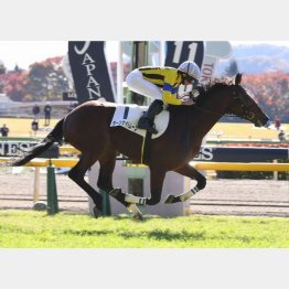 同じ舞台で未勝利勝ち
