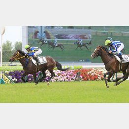 前走も完勝だった