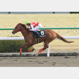 2走前は圧勝だった