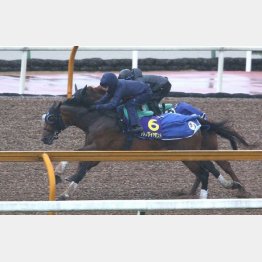先週は抜群の切れ味で最先着