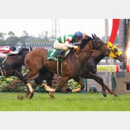 昨年はシャイニングレイが大外一気