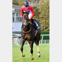 春雷Sを快勝