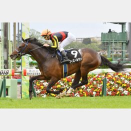 山藤賞は2馬身半差