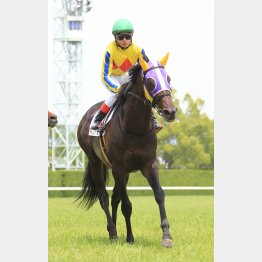 五百万平場を逃げ切ったキボウノダイチ