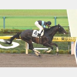 五百万を完勝