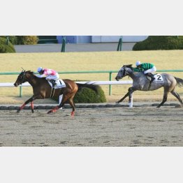 2月に京都で一千万勝ち