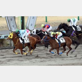 2走前は見せ場たっぷり