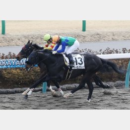 ダートで未勝利勝ち