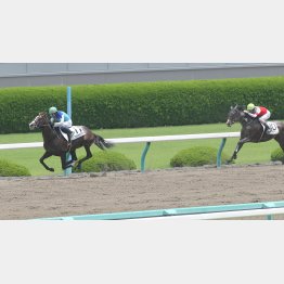約1年ぶりの前走を快勝