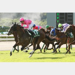 昨夏に小倉2歳S勝ち