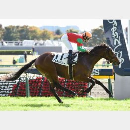 新馬戦は7馬身差V