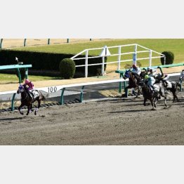 3走前に五百万を完勝