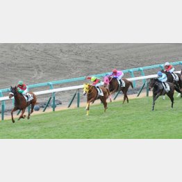 未勝利勝ちもコーナー4つの中山八だった