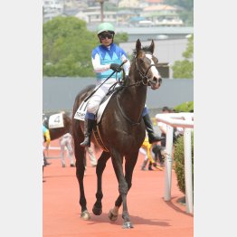 藤岡はアドマイヤビクターで先週のリベンジを狙う