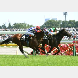 前走で2連勝
