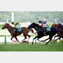 15年は3連単100万馬券