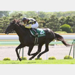 函館スプリントSを勝ち重賞ウイナーの仲間入り
