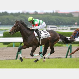 強烈なデビューを果たした馬の背には必ずあの2人が