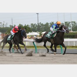 昨年は2馬身差の圧勝