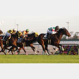 鳥羽特別は1分19秒8の好タイム勝ち
